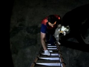 Mahsur Kalan Kediyi İtfaiye Ekipleri Kurtardı