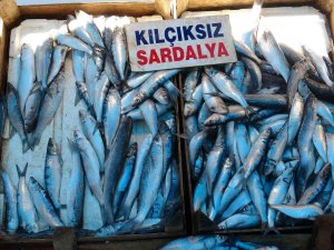 Av Yasağından Sonra Tezgahlar Boş Kaldı, ’Sardalya’ Vatandaşın Vazgeçilmezi Oldu