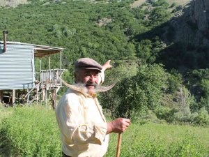 Ayının Üzerine Yürüyen Meşhur Pala Dayı Cesaretiyle Ayıya Geri Adım Attırdı