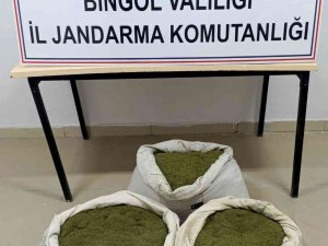 Bingöl’de 30 Kilogram Esrar Ele Geçirildi