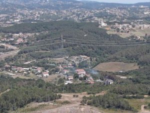 Beykoz’da Ormanlık Alandaki Yangınla İlgili 1 Şüpheli Yakalandı
