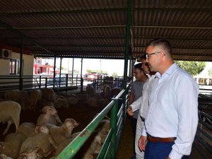 Manisa’da Kurban Satış Noktalarında İlaçlama Çalışması