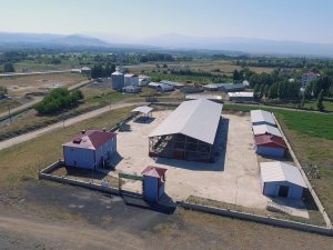 Bingöl’de Kurban Satış Ve Kesim Yerleri Belirlendi