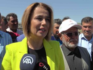 Nevşehir’de İlk Hububat Hasadını Vali Becel Yaptı