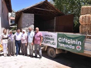 Kepez’de Hayvancılıkla Uğraşan Çiftçilere Saman Desteği