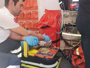 Otomobilin Çarpıp Kaçtığı Yaşlı Kadın Yaralandı
