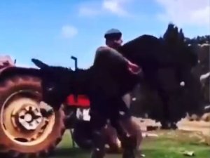 Kırkpınar Başpehlivanının Başarısında ’Eşek’ Sırrı