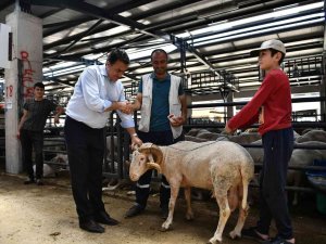 Bursa Kurban Pazarında Hareketli Günler