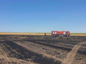 Tekirdağ’da 130 Dönüm Arazi Kül Oldu