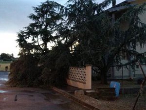 İ̇talya’yı Fırtına Vurdu: 1 Ölü