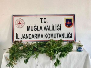 Seydikemer’de Uyuşturucu Operasyonu
