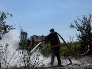 Otluk Alanda Çıkan Yangın Korkuttu