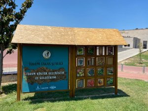 Datça’dan 279 Kitap İ̇zmir’deki Tohum Merkezine Gönderildi
