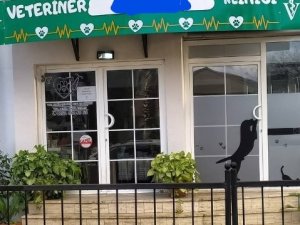 Bacağı Kırılan Köpekleri Veterinerde Öldü, Suç Duyurusunda Bulundular