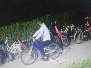 Yürüyerek Geldiler, Bisikletleri Çalıp Gittiler