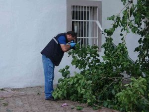 Dut Toplamak İçin Çıktığı Ağaçtan Düşen Yaşlı Adam Yaşamını Yitirdi