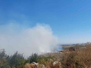 Balıkesir’de 400 Saman Balyası Kül Oldu