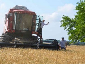 Anız Yakma Yasağına Uymayanlara Ceza