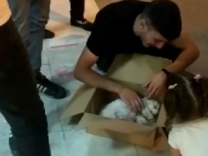 Ölen Köpeğinin Başında Dakikalarca Gözyaşı Döktü