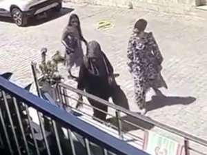 Duvarın Üstündeki Cep Telefonunu Çaldı