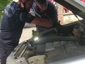 Kartal’da Kedi Kurtarma Operasyonu: Evden Kaçtı, Araç Motoruna Sıkıştı