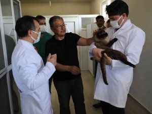 Can Dostları Sahiplerinin Dikkatine