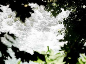 Korona Virüs Şüphelisi Yarasalardan Elde Edilen Gübre Düden Şelalesi’ne İlaç Oldu