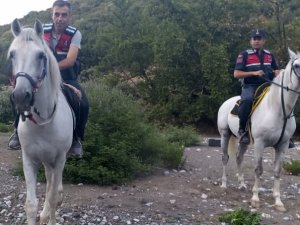Jandarma Atlarla Kenevir İzi Sürdü