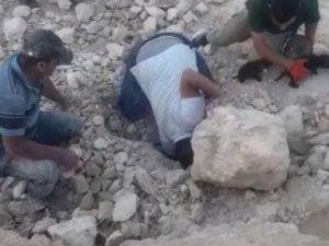 5 Yavru Köpek 5 Saatte Kurtarıldı
