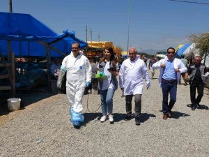 Kurban Pazarında ‘Ultrason’ Ekibi Görev Başında