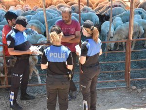 Mersin’de Hayvan Satıcıları Dolandırıcılara Karşı Bilgilendiriliyor