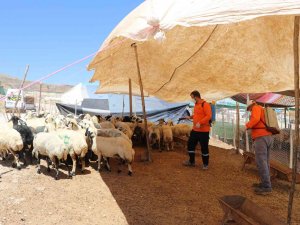 Şanlıurfa’da Kurban Satış Noktalarına İlaçlama
