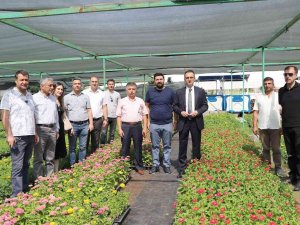 Diyarbakır’da 20 Bin Çam Fidanı Ve 500 Bin Mevsimlik Çiçek Dağıtıldı