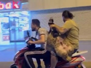 Sultanbeyli’de Şoke Eden Görüntü: Motosiklette Koyun Taşıdılar