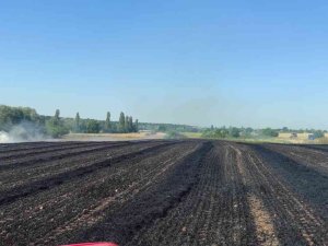 Kırklareli’de 55 Dekar Buğday Tarlası Küle Döndü