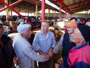 Kastamonu Tarım Ve Orman İ̇l Müdürü Bekir Yücel Tanrıkulu: