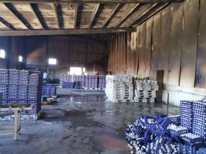 Kahramanmaraş’ta Yumurta Çiftliği Yandı, 60 Bin Tavuk Telef Oldu