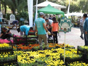 Alanya’da Bayramda 60 Bin Çiçek Dağıtılacak