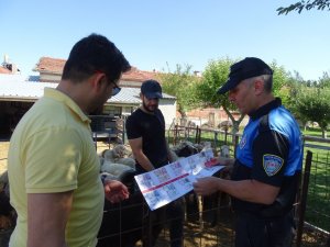 Dolandırıcılık, Hırsızlık Ve Parada Sahteciliğe Karşı Vatandaşlar Uyarıldı