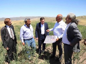 350 Kişiye İş Kapısı Olacak: Kırıkkale’ye Fişek Ve Kapsül Tesisi Kuruluyor