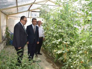 Meslek Liselerinde Tarım Seferberliği Sarayköy’den Başlayacak