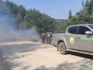 Ormancıların Zamanında Müdahalesi Yangının Büyümesini Önledi