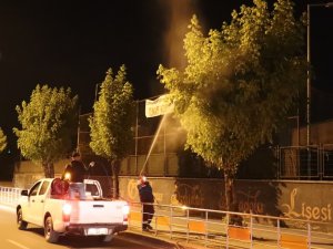 Amerikan Kelebeği’ne Karşı Mücadeleye Devam