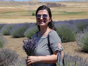 Lavanta Tarlalarında Görsel Şölen