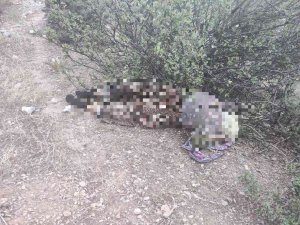 Kayıp Olarak Aranıyordu Acı Haber Geldi