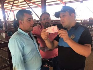 Hayvan Satıcıları Dolandırıcılara Karşı Bilgilendiriliyor