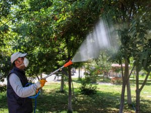 Van’da Bayram Öncesi Park, Bahçe Ve Mesire Alanları İlaçlanıyor