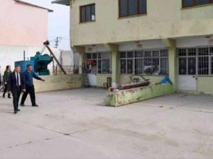 Köşk Belediyesi’nin Kestane Projesi Onaylandı