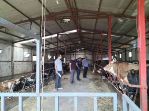 Altınova’da Kurban Satış Ve Kesim Yerlerine Sıkı Denetim