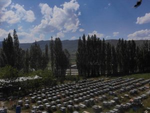 Yağışlar Sonrası Bayburt’ta Arıcıların Yüzü Güldü
